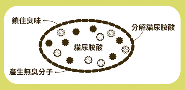 貓尿胺酸-稻殼貓砂-瑪西森林