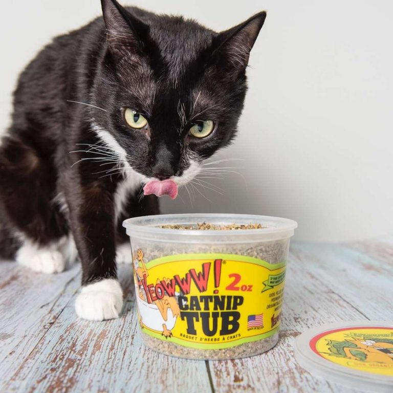 貓草-美國瘋狂貓 Yeowww!