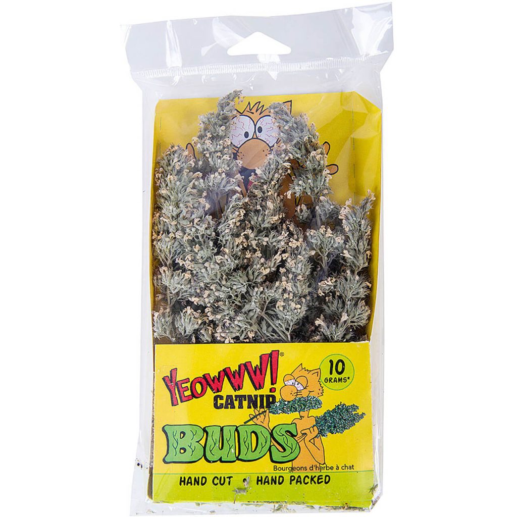 貓草束-美國瘋狂貓 Yeowww!