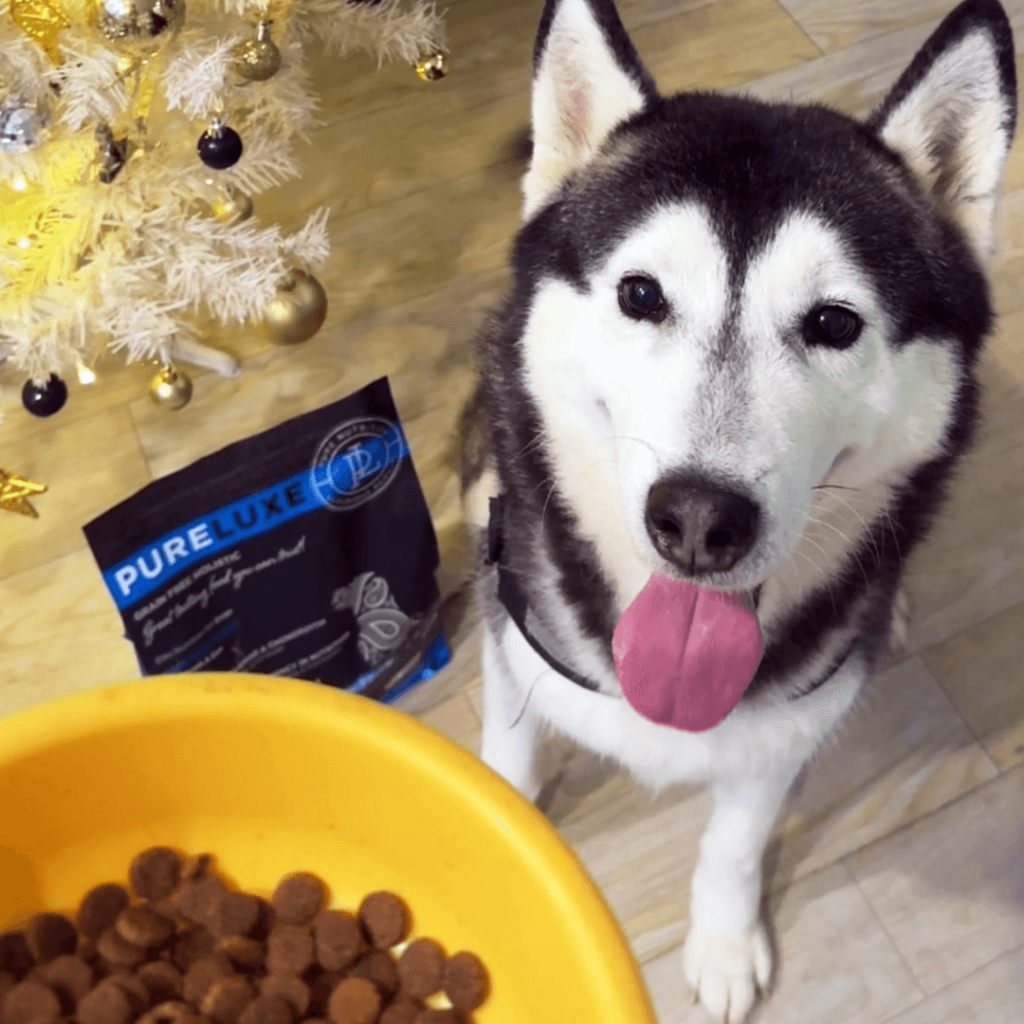 純華犬貓飼料-口碑推薦-wawa