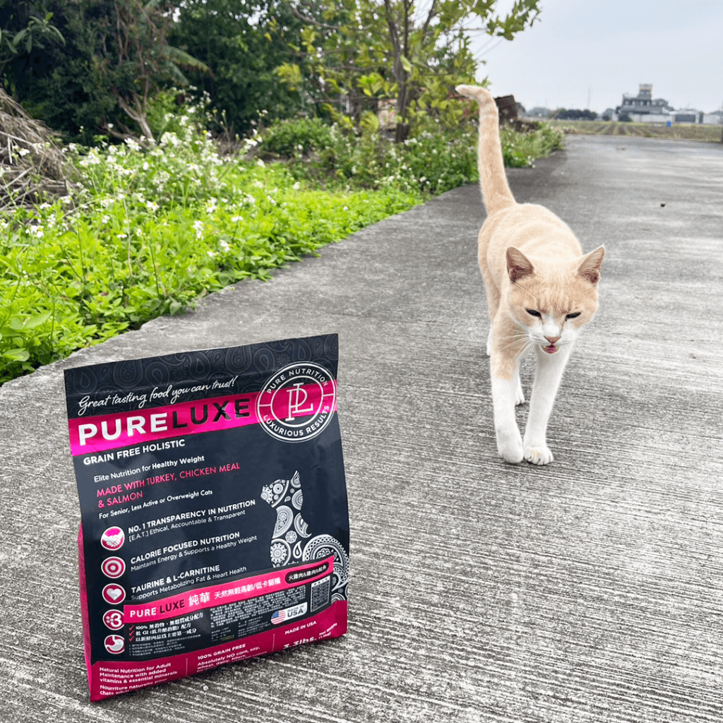 純華貓飼料-口碑推薦-kitty032586