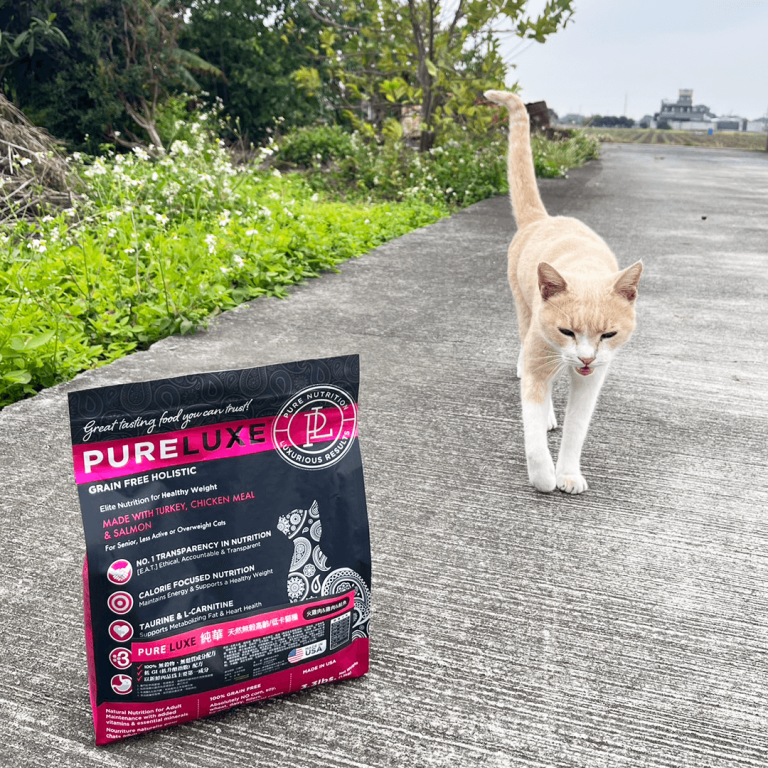 純華貓飼料-口碑推薦-kitty032586