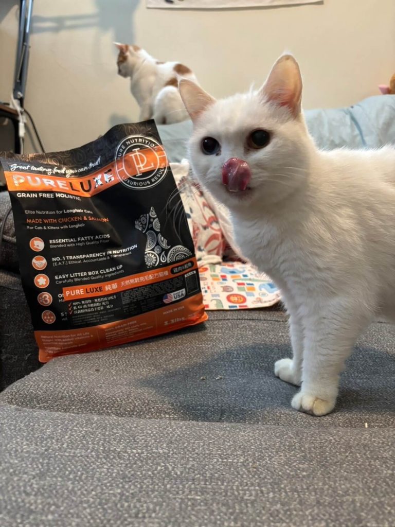 純華貓飼料-口碑推薦-maiowko