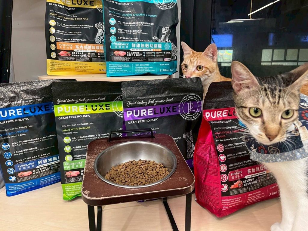 瘋寵玩家尬電開箱純華貓飼料評價