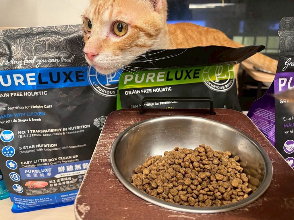 瘋寵玩家尬電開箱純華貓飼料評價