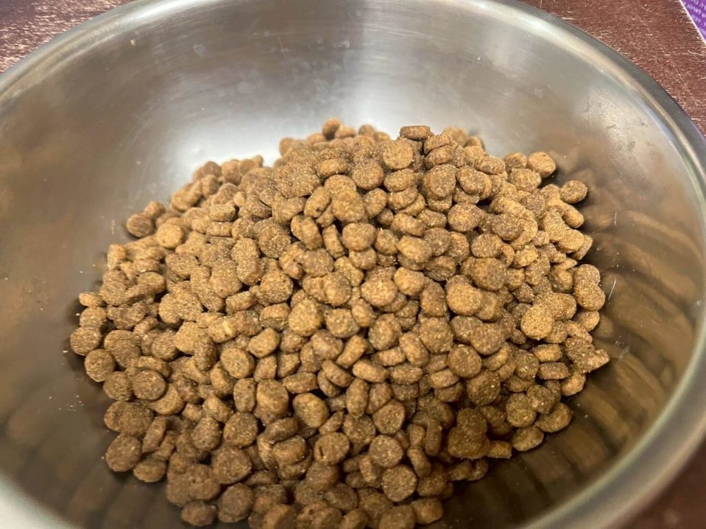 瘋寵玩家尬電開箱純華貓飼料評價