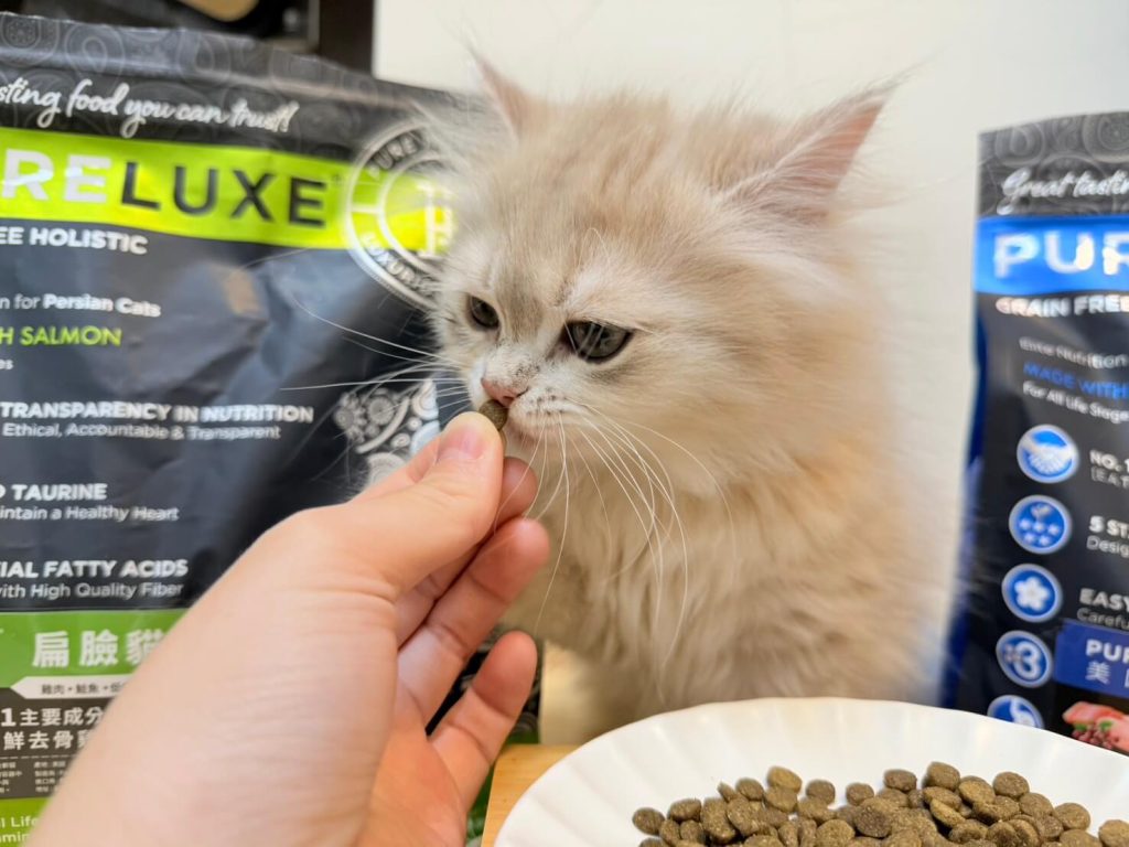 三泥兄弟試開箱PURELUXE 純華無穀貓糧