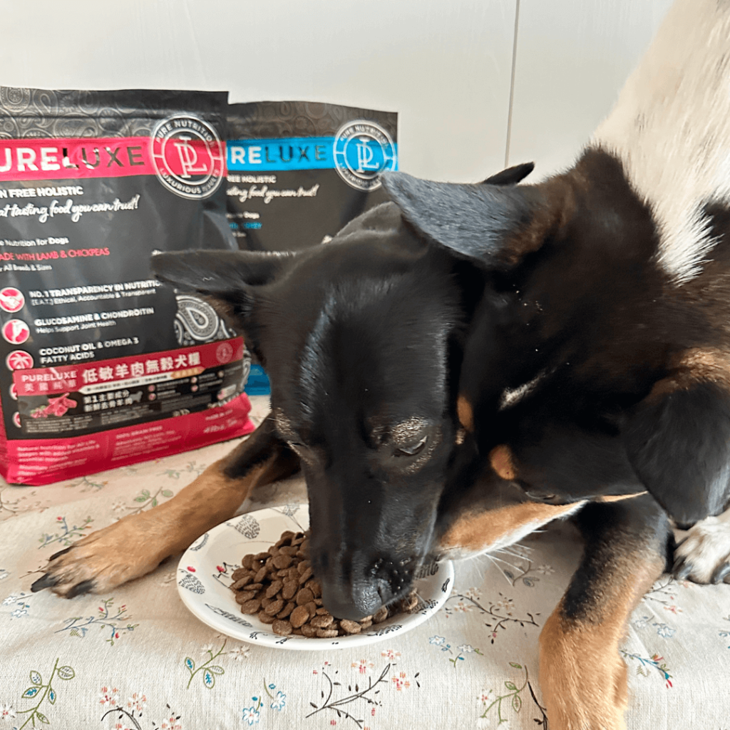 春春與威威 PURELUXE 無穀犬糧實測