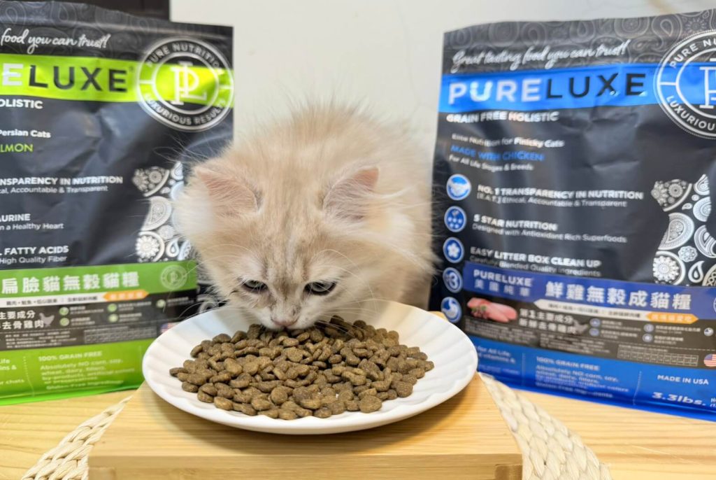 美國純華鮮肉貓糧