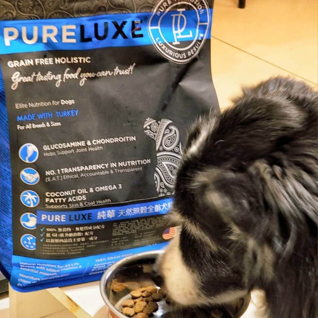 14歲高齡犬的健康守護-PURELUXE 美國純華無穀低敏配方