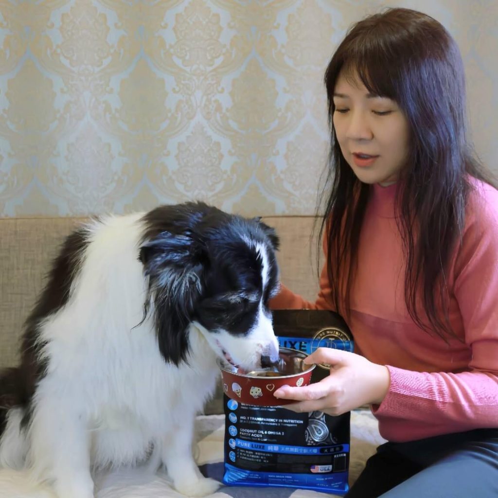 14歲高齡犬的健康守護-PURELUXE 美國純華無穀低敏配方