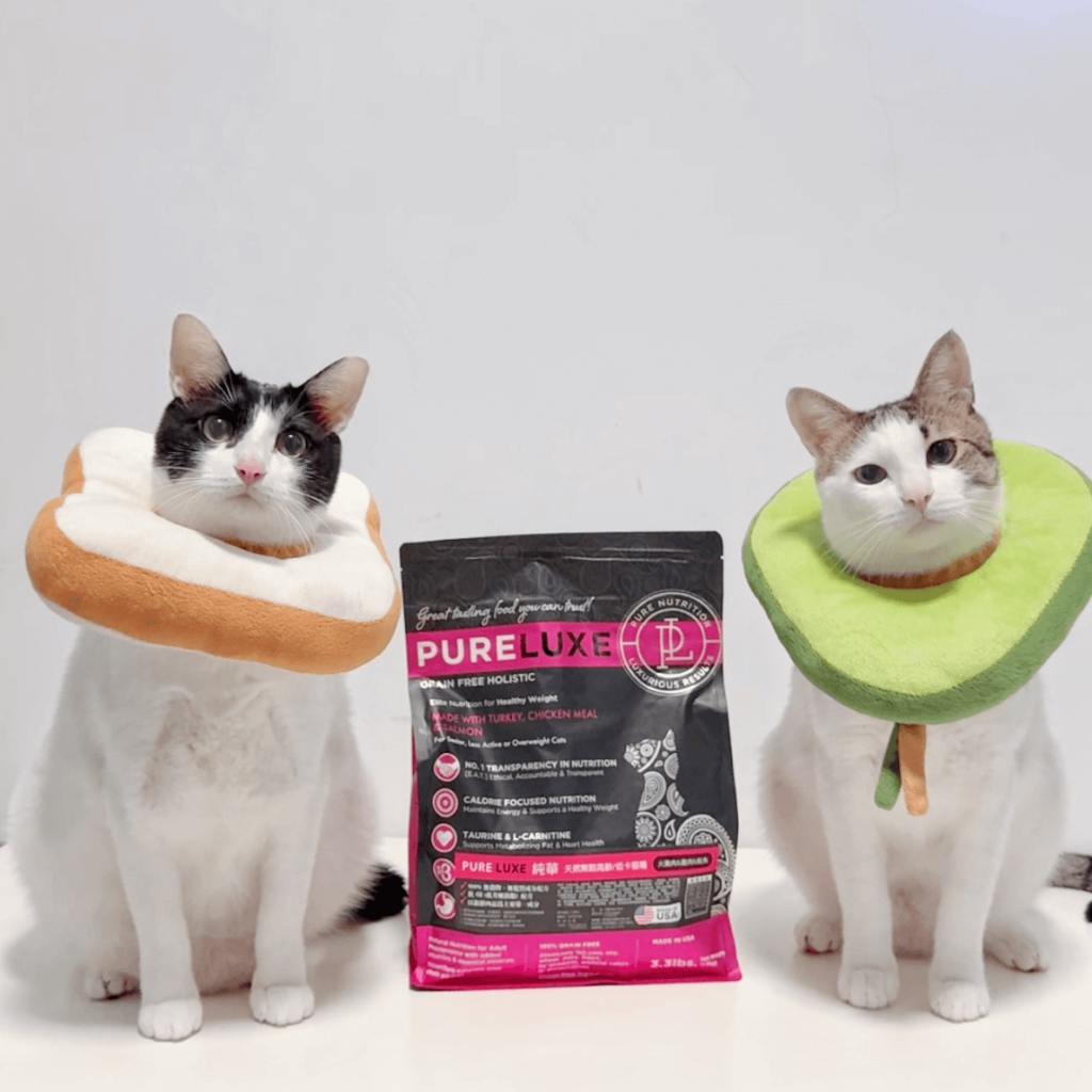哈哈滴哇家開箱  美國純華低卡成貓飼料