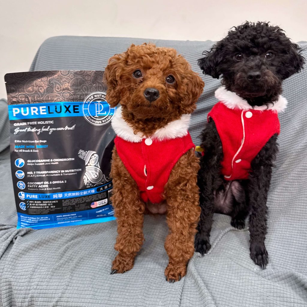 小貴賓最愛的PURELUXE 美國純華無穀低敏犬糧