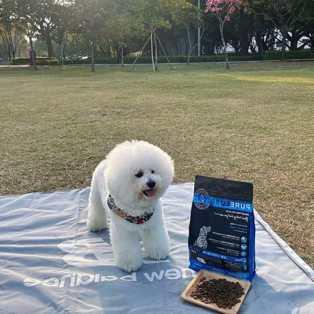 福福開箱美國純華火雞無穀狗糧-挑嘴狗也愛上的飼料
