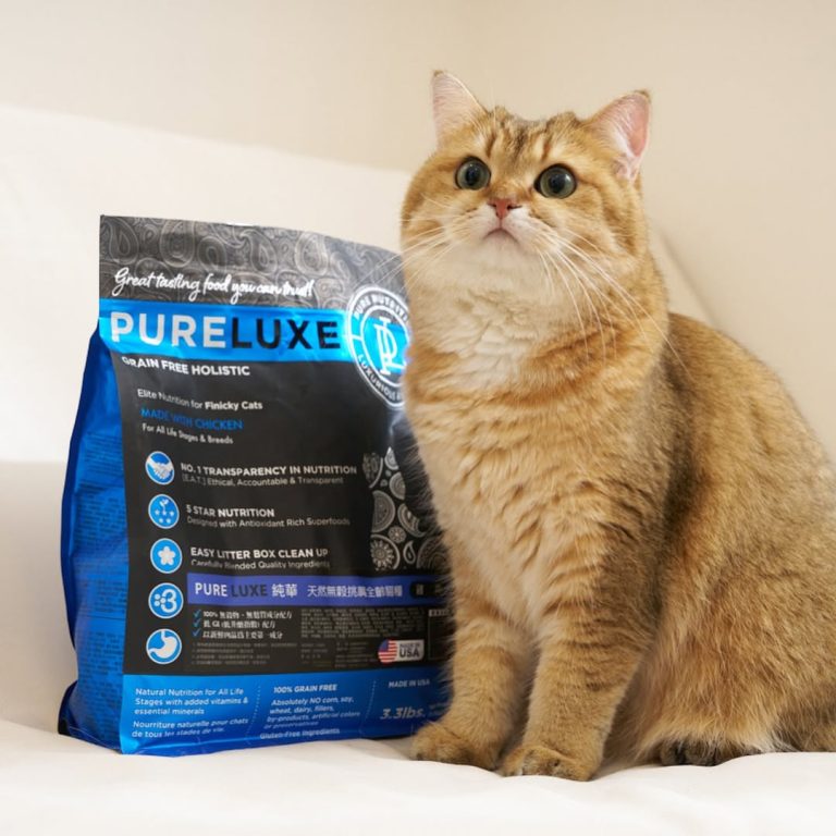 貓咪安妮亞實測推薦：PURELUXE 美國純華雞肉貓糧