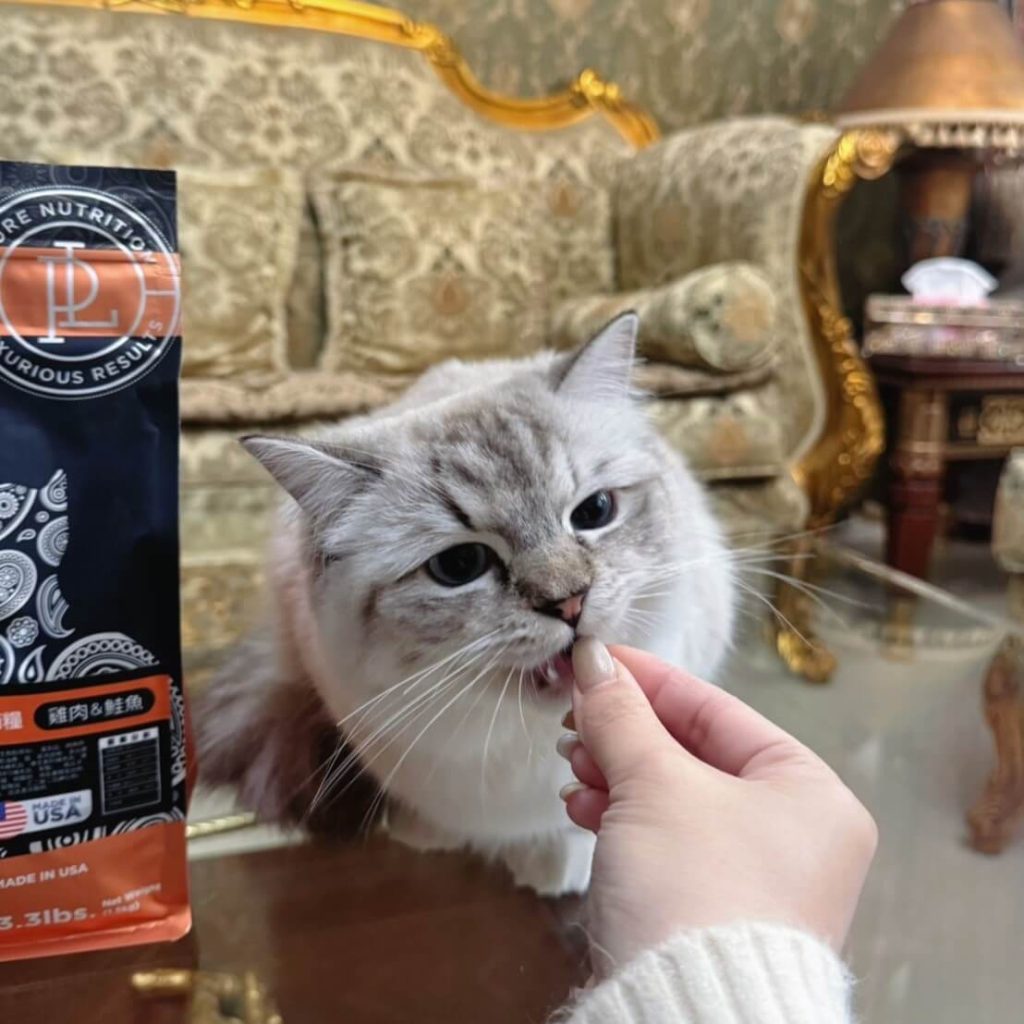 Mimmy 美國純華鮮肉貓糧