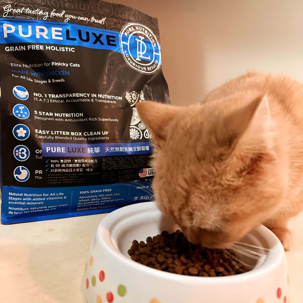 小橘的成長日記 PURELUXE 美國純華幼貓糧