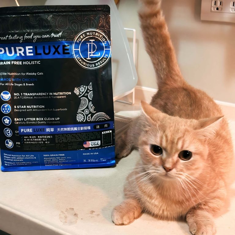 小橘的成長日記-PURELUXE 美國純華無穀幼貓糧