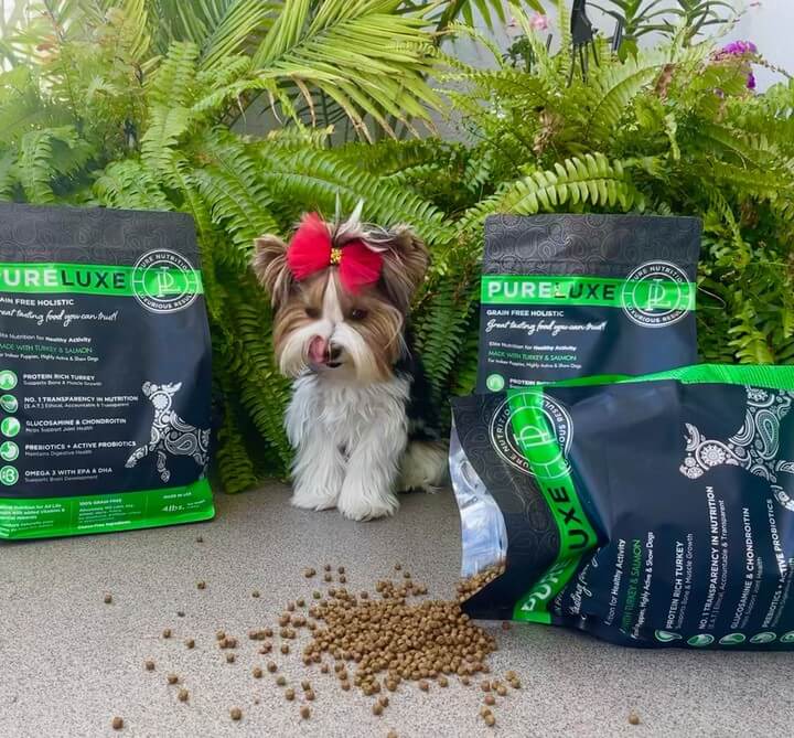 幼犬愛吃美國純華飼料
