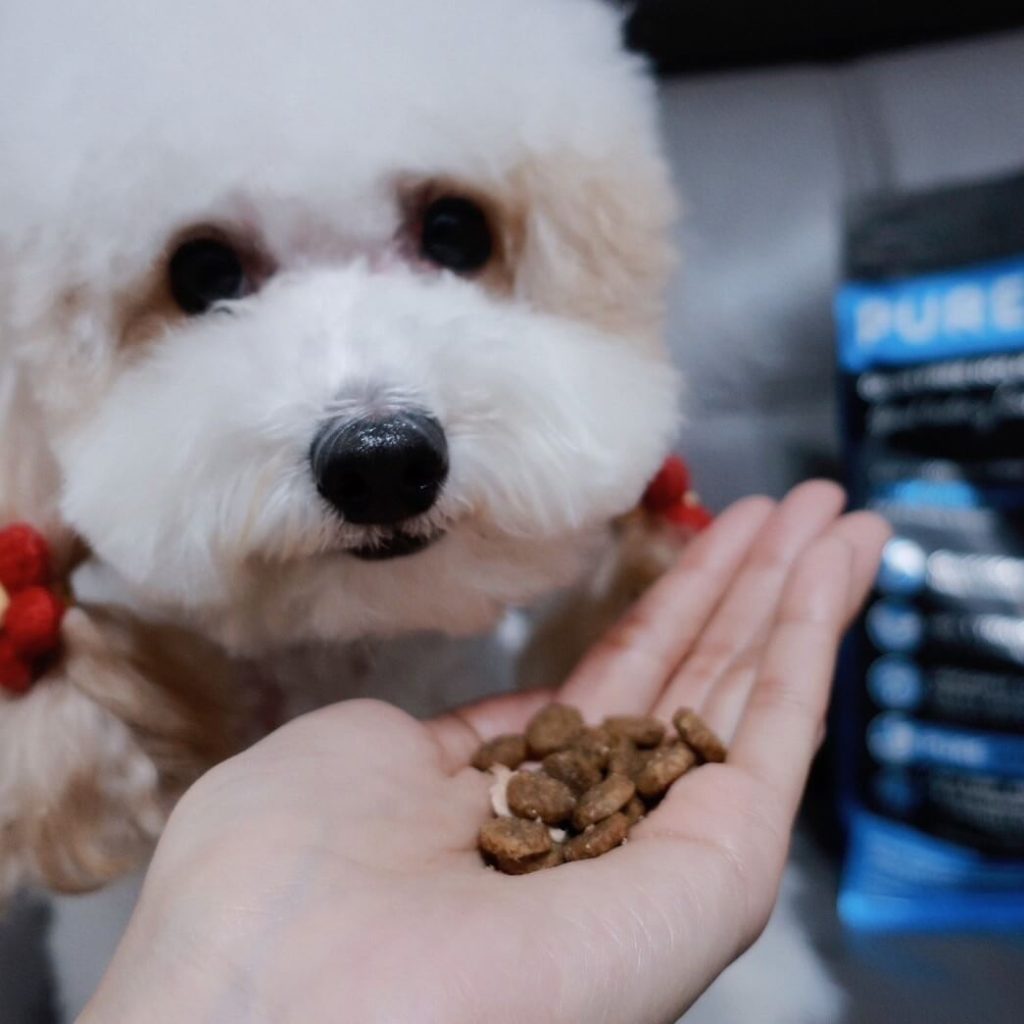 挑食狂魔咪路的逆轉勝：PURELUXE 純華低敏無穀犬糧