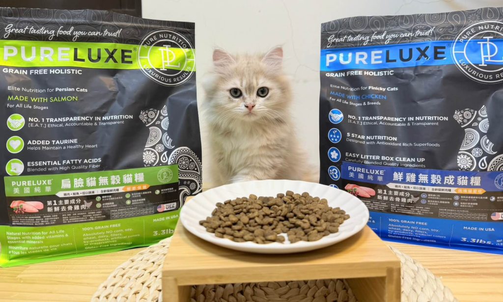 貓狗飼料保存方式