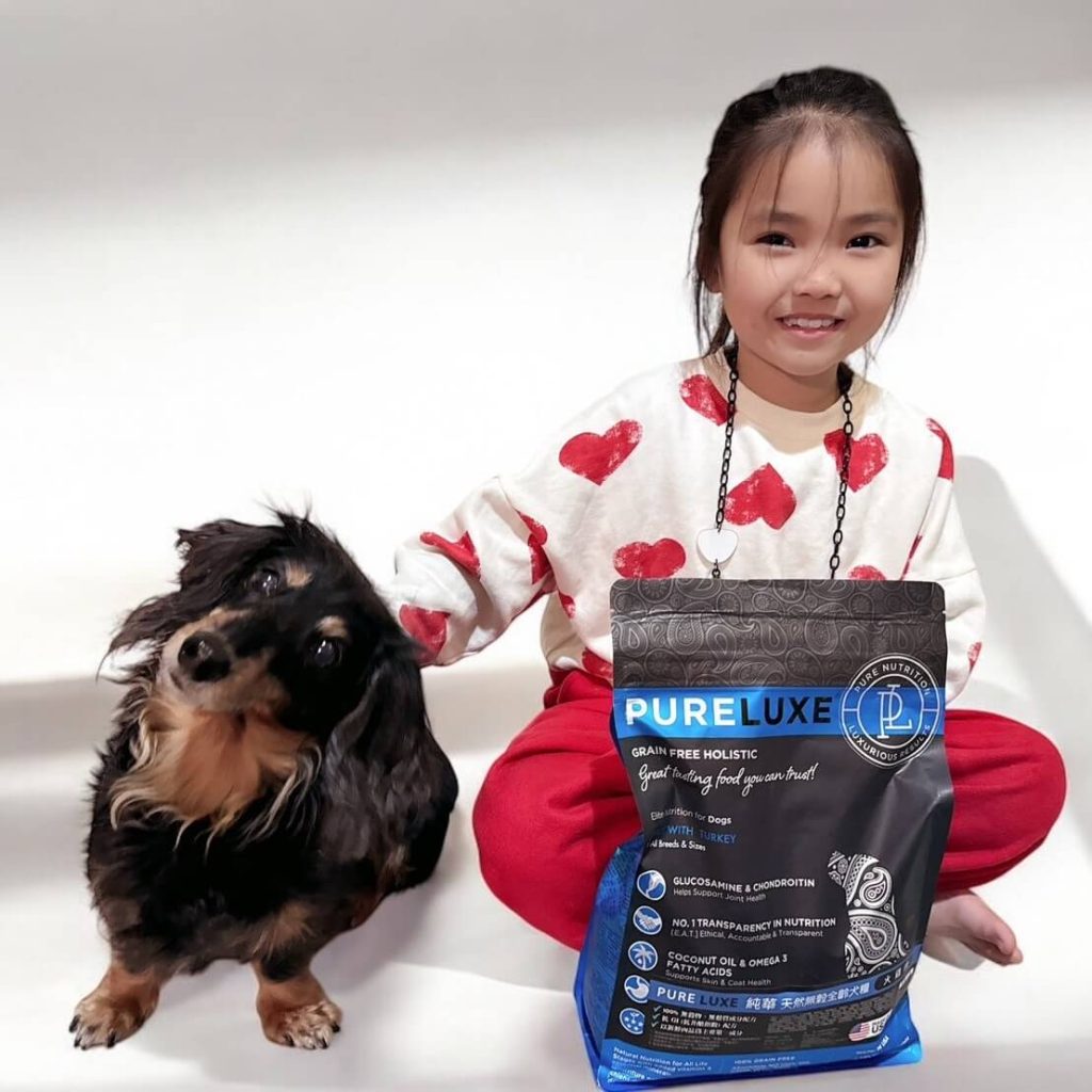 14歲啾咪的健康日常-美國純華無穀犬糧真實分享