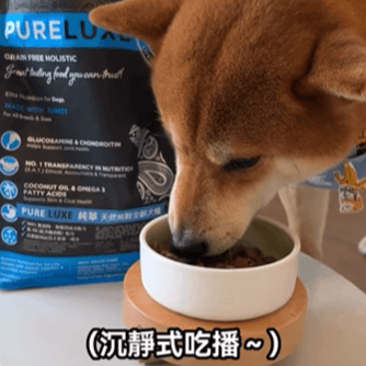 PURELUXE無穀低敏飼料好吃又安心