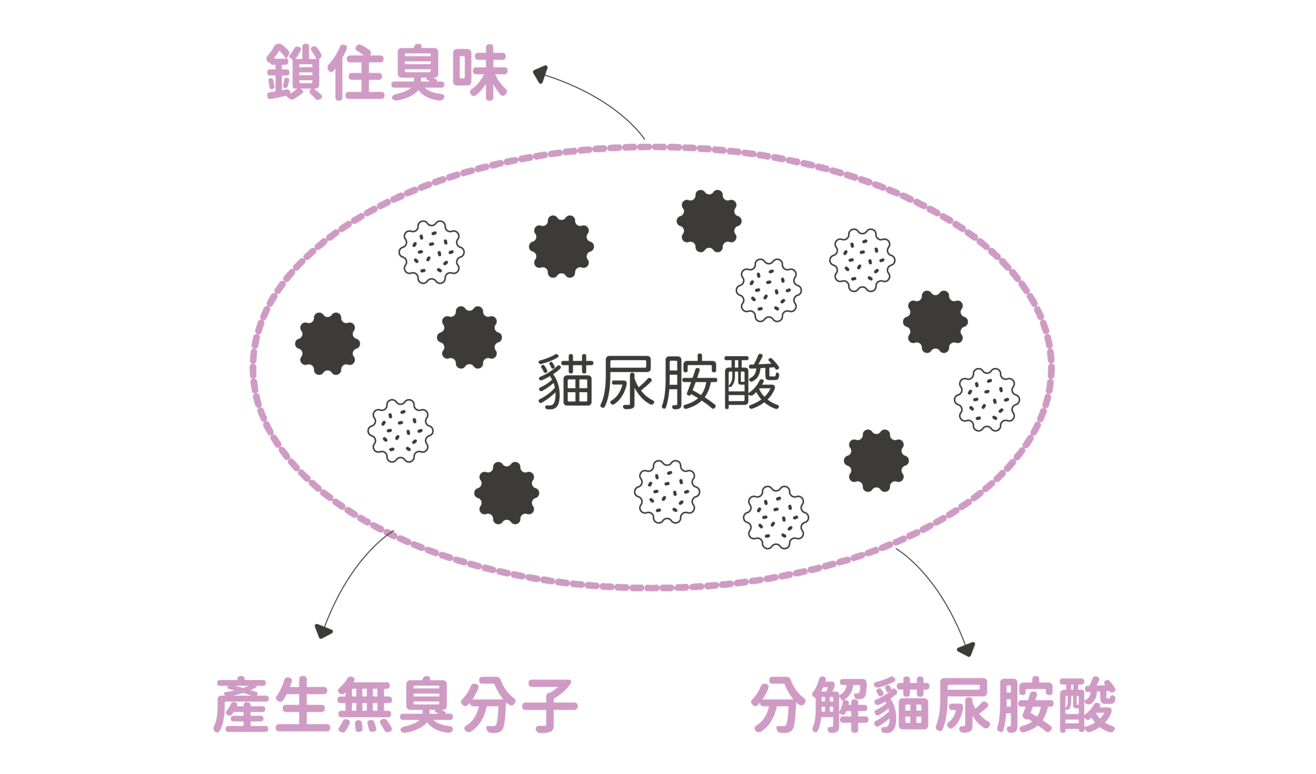 專利纖維技術，讓稻殼擁有超強吸水力