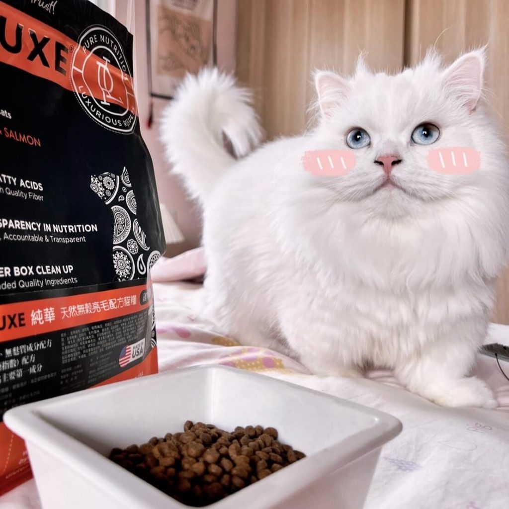 挑嘴貓咪咪愛吃-PURELUXE 美國純華無穀亮毛配方-1