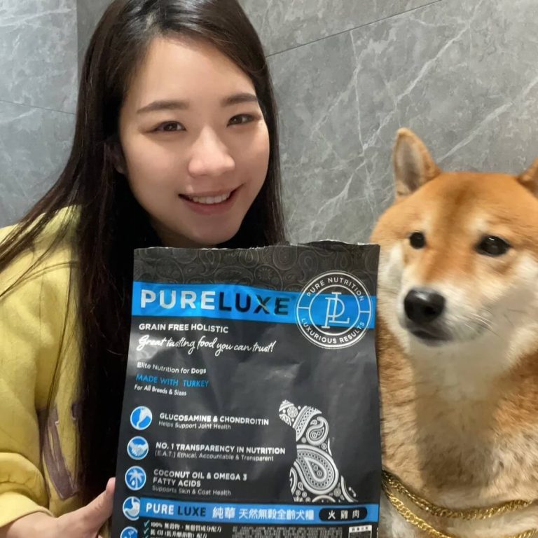 柴犬噗弟的腸胃照護日常-美國純華低敏狗飼料