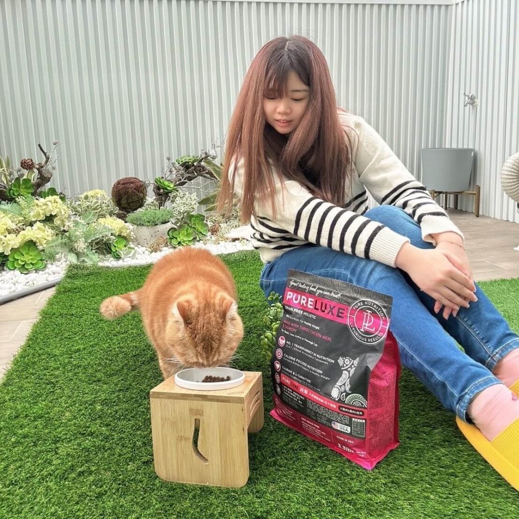 老皮的體重管理祕密-美國純華低GI無穀貓飼料推薦