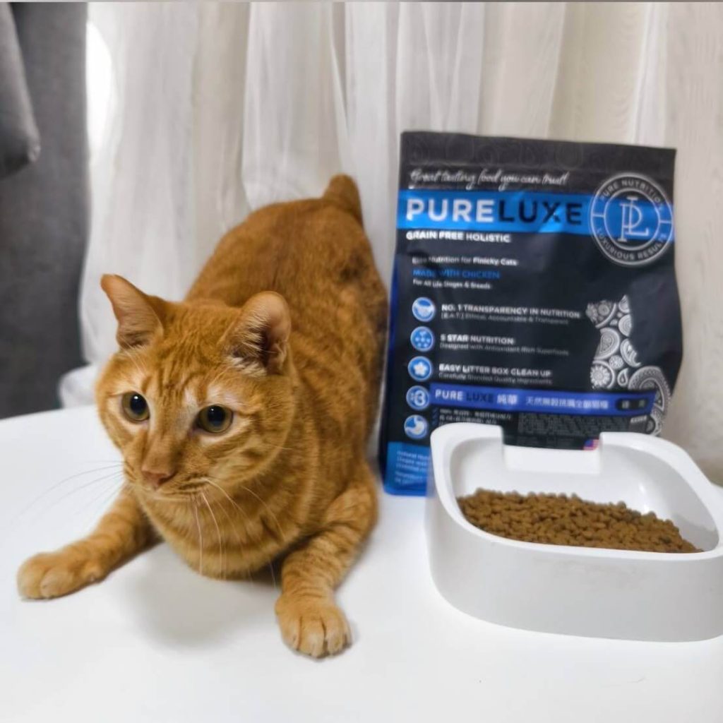 貓咪換飼料成功-PURELUXE美國純華無穀飼料真實分