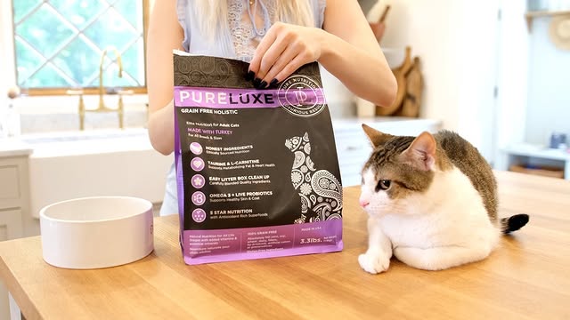 貓咪營養學-什麼才是營養均衡的貓飼料